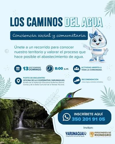 Categoria