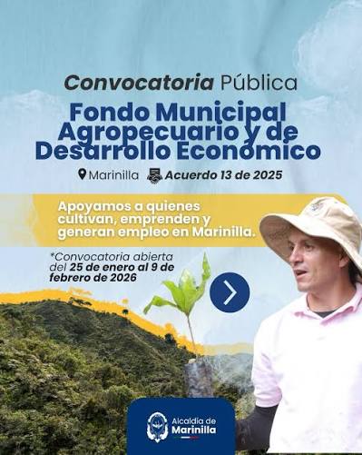 Categoria