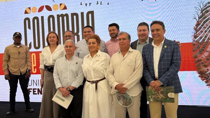 Categoria