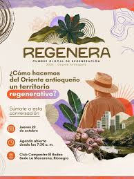 Categoria